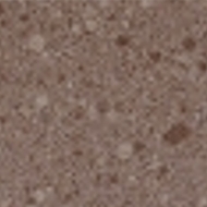 Coral Troya